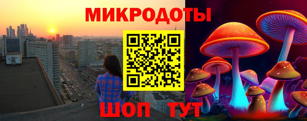 Псилоцибиновые грибы Cubensis Юрга