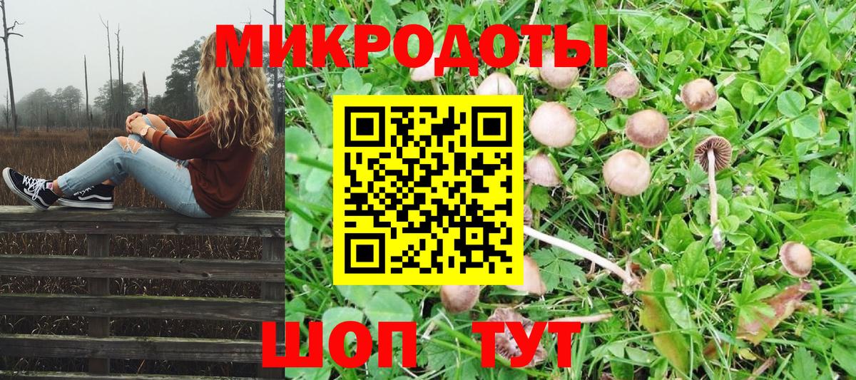Юрга  Псилоцибиновые грибы Psilocybine cubensis  Псилоцибиновые грибы Cubensis  Вход с VPN 